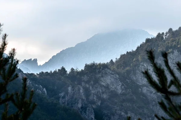 雾中群山的风景 — 图库照片