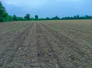 Hint Köyü Çiftliği Fotoğrafının Güzel Çekimi