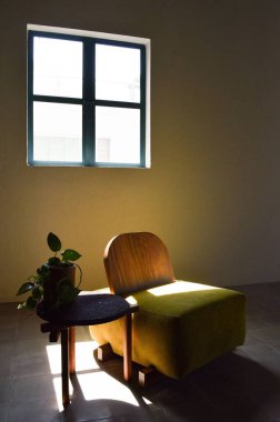 Minimalist bir iç mekan. Üzerinde bitki olan küçük bir masa var.