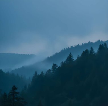 Akşamları bulutlu bir gökyüzünün altında ormanlarla kaplı dramatik bir dağ manzarası.
