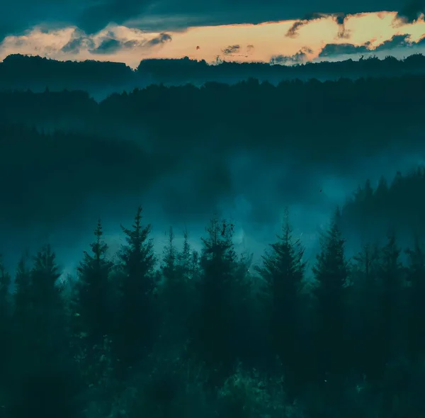 Uma Paisagem Dramática Montanhas Cobertas Florestas Nevoeiro Sob Céu Nublado — Fotografia de Stock