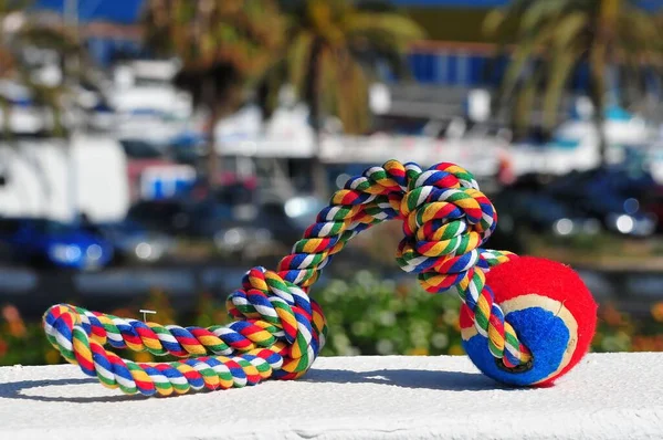 宠物玩具一种彩色玩具 用混凝土表面的小毛球和绳子制成 — 图库照片