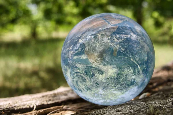 Closeup Lensball Reflection Planet Wood — Stock Photo, Image