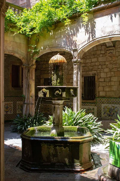 西班牙巴塞罗那 一个被绿色包围的庭院里 一个非常时髦的喷泉的垂直照片 — 图库照片