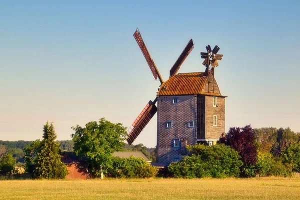 View Windmill Surrounded Growing Bushes Field — Stock Photo, Image