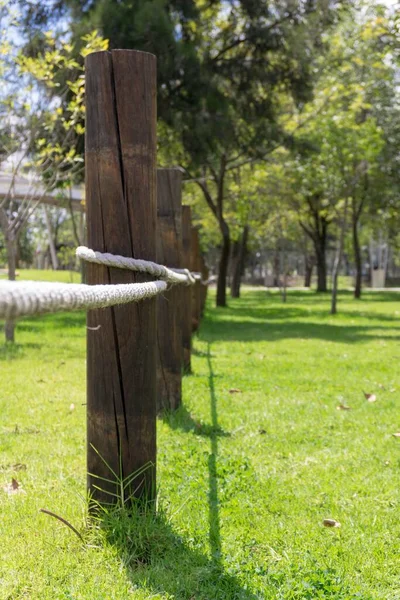 Tiro Foco Raso Rosto Corda Com Árvores Corte Madeira Parque — Fotografia de Stock