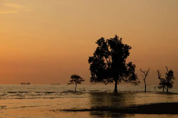 Het Prachtige Uitzicht Silhouetten Van Bomen Zee Bij Zonsondergang — Stockfoto