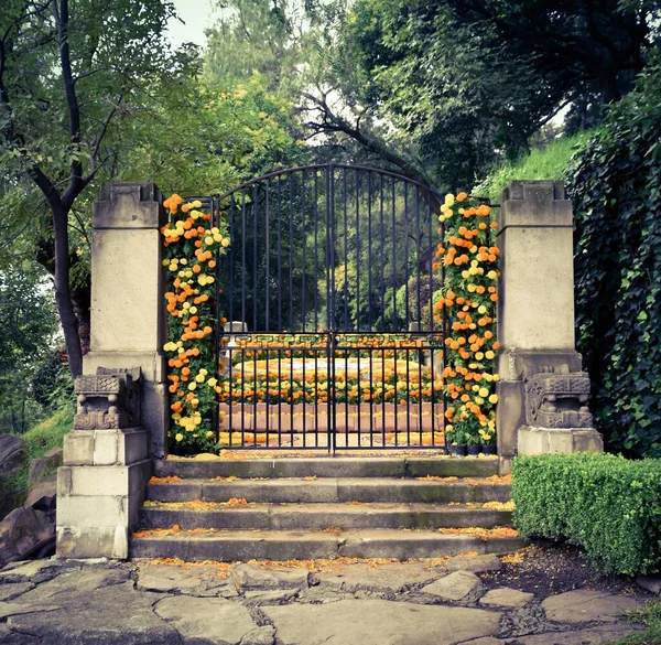Belles Portes Noires Couvertes Fleurs Colorées Avec Des Arbres Verts — Photo
