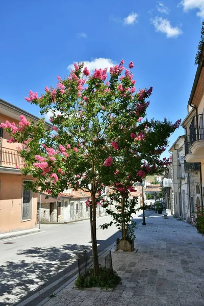 Small Street Old Houses Greci Village Campania Region — Stock Photo, Image