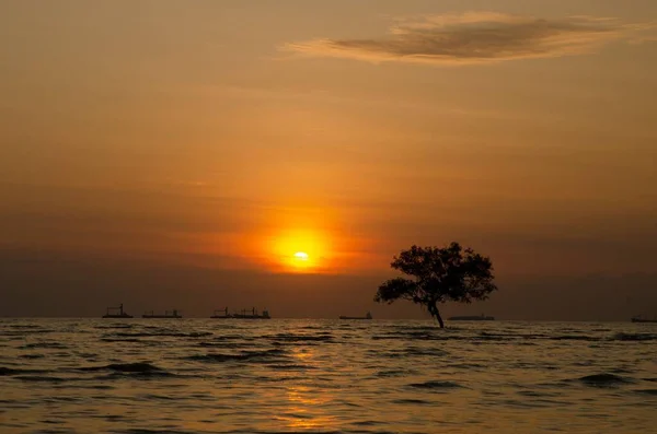 Hermosa Vista Del Mar Atardecer — Foto de Stock