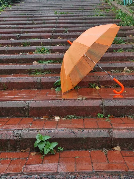Egy Függőleges Lövés Egy Narancssárga Esernyőről Piros Nedves Lépcsőn — Stock Fotó