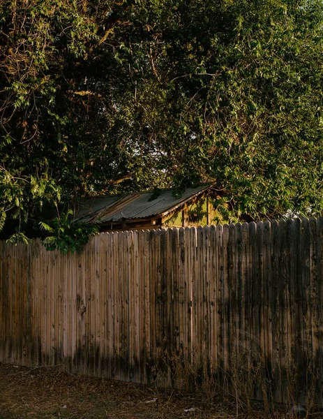 A vertical shot of the roof of rural building behind wooden fence under lush green tree