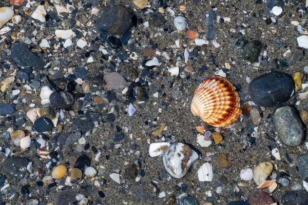 Hintergrund Von Vielen Kleinen Steinen Strand Mit Dem Wasser Der — Stockfoto