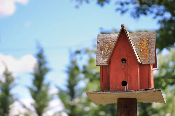 Casa Pájaros Madera Roja Poste Con Cielo Azul Árboles Verdes — Foto de Stock