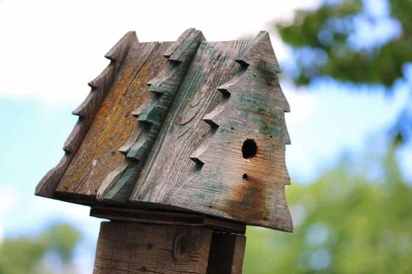 Houten Vogelhuisje Een Paal — Stockfoto