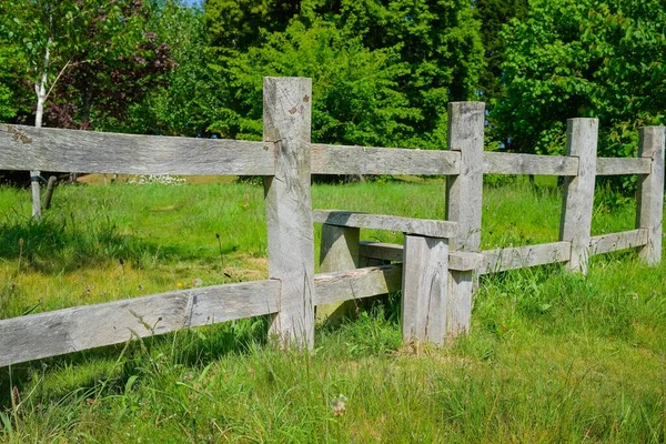 Old Gray Wooden Fence Dividing Green Grass Field Sunny Day — Stock Photo, Image