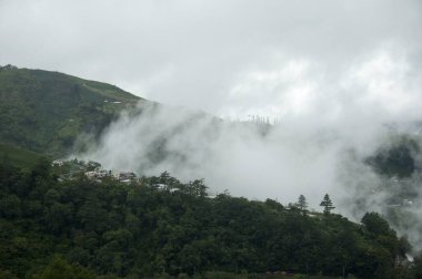 Güzel bir manzara, yemyeşil ağaçlar ve arka planda sisle kaplı yeşil alanlar.