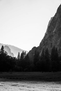 Sisli bir günde ormanlık ve vadiyle dağların ve tepelerin dikey güzel manzarası, siyah ve beyaz.