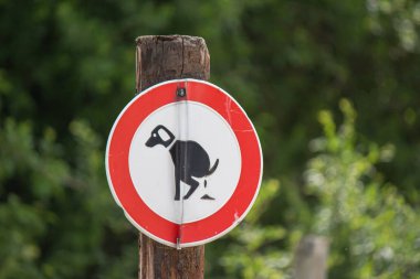 Tahta bir direkte köpek atığı yok tabelası.