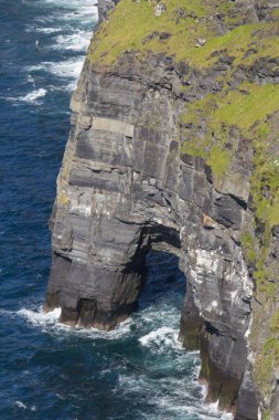 İrlanda 'nın Moher Kayalıkları' nın bir kısmının dikey ve yakın çekimi.