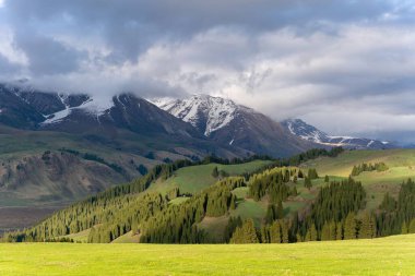 Yeşil çayırlar ve karlı bir dağ.