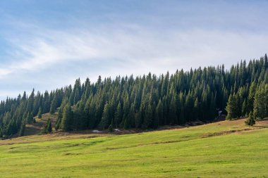 Güneşli bir günde arka planda ağaçlar olan bir dağlık arazi.