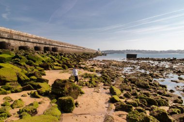 Fransa 'da Port Socoa' da kayalık sahilde yürüyen bir çocuk.