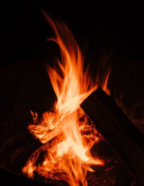 Ormandaki bir kamp ateşinin dikey görüntüsü.
