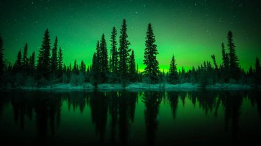 Aurora gecesinde gölde yansıması olan ağaçların nefes kesici manzarası.