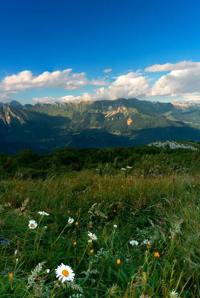 Une Vue Panoramique Paysage Depuis Mont Matajur Dans Frioul Italie — Photo