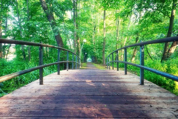 Uma Ponte Madeira Para Bela Floresta Verde — Fotografia de Stock