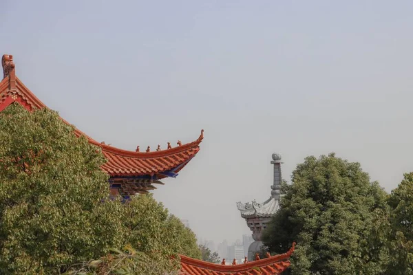 中国紫禁城的屋檐隐藏在树后 — 图库照片
