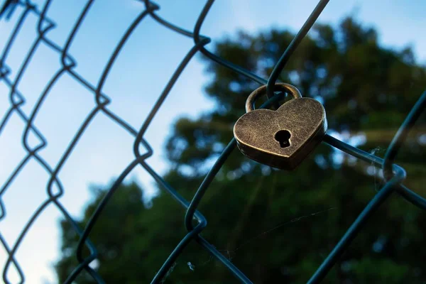 Coração Amor Metálico Tranca Uma Cerca Luz Dia — Fotografia de Stock