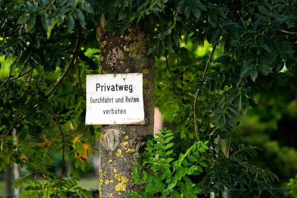 Varningsskylt Trädet Tyska — Stockfoto
