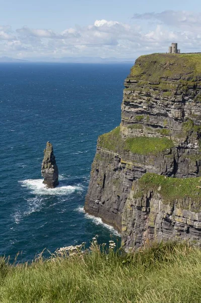 Burren, İrlanda 'daki muhteşem Moher Uçurumlarının dikey çekimi