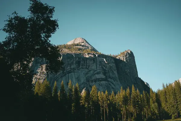 Pemandangan Indah Pegunungan Granit Raksasa Dan Pohon Pinus Taman Nasional — Stok Foto