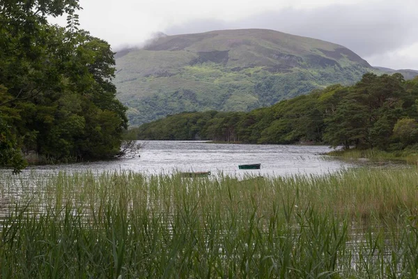 Озеро Оточене Деревами Горами Похмурий День Ірландії — стокове фото