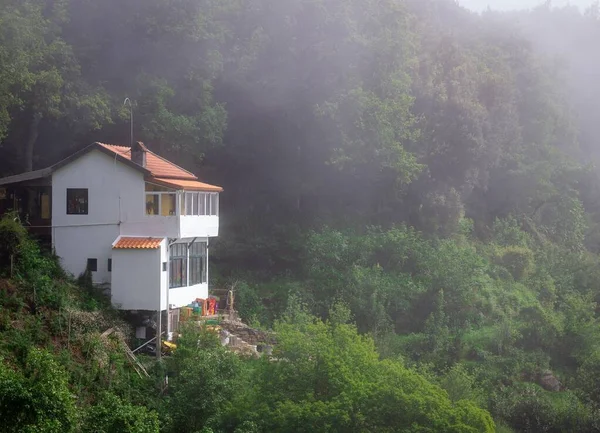 A beautiful house on a hill surrounded with mesmerizing greenery on a foggy day