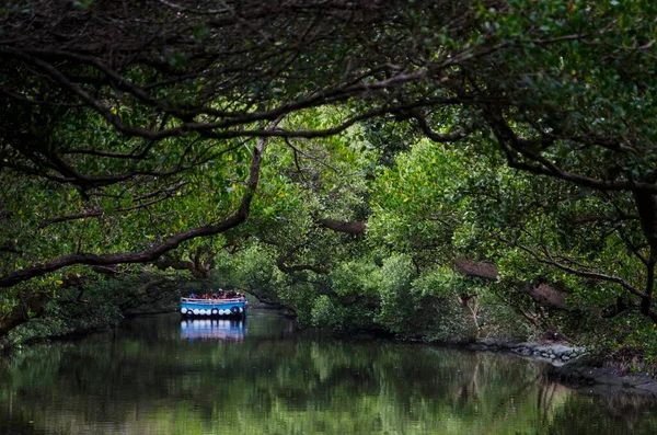 Beautiful Water Area People Boat Covered Tree Tunnel — Stock Photo, Image