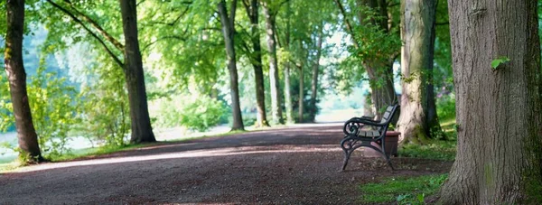 Een Panoramisch Beeld Van Een Lege Bank Een Park Dat — Stockfoto