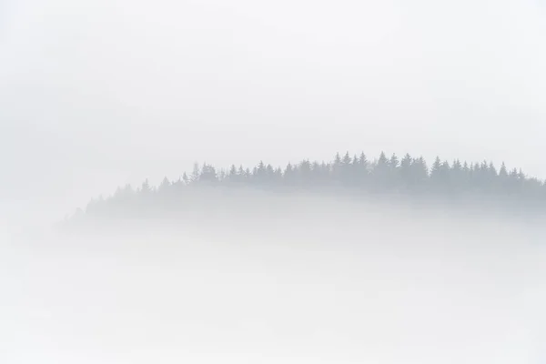 Uma Montanha Arborizada Coberta Nevoeiro Fundo Minimalista — Fotografia de Stock