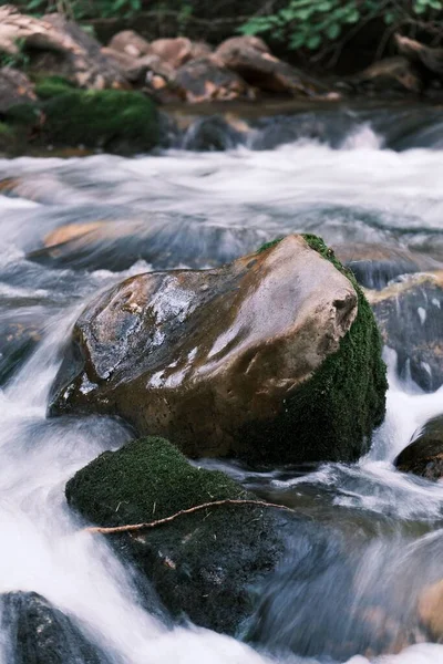Taşların Taşan Nehirde Yakın Plan Çekimi — Stok fotoğraf