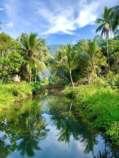 ヤシの木のある湖の風景の垂直ショット — ストック写真