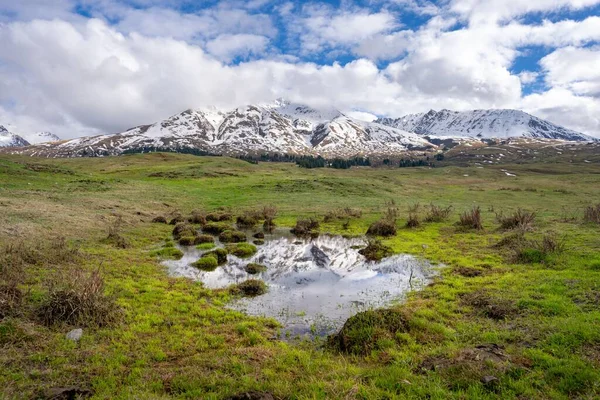 Pastizales Verdes Una Montaña Nevada — Foto de Stock