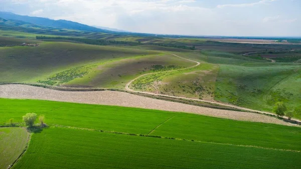 Curva Estrada Prados Verdes Uma Montanha Nevada — Fotografia de Stock