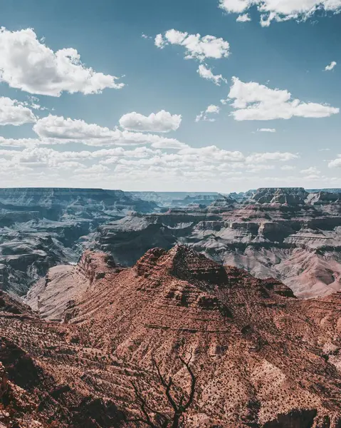Eine Drohnenaufnahme Des Grand Canyon Nationalparks Einem Sommertag Arizona Usa — Stockfoto