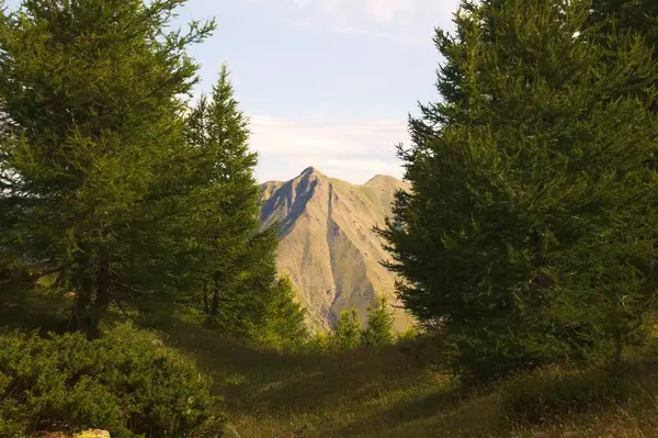 Landscape Field Mountains Background — Stock Photo, Image