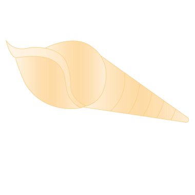 Beyaz arka planda basit bir deniz kabuğu klipsi sanatı