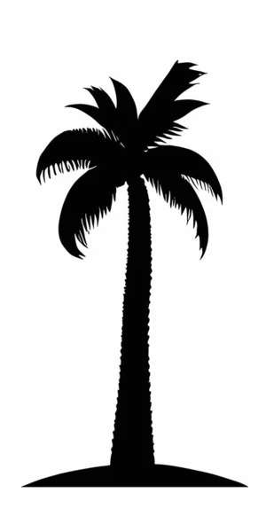 海滩上一棵棕榈树的轮廓 背景是白色的 — 图库矢量图片