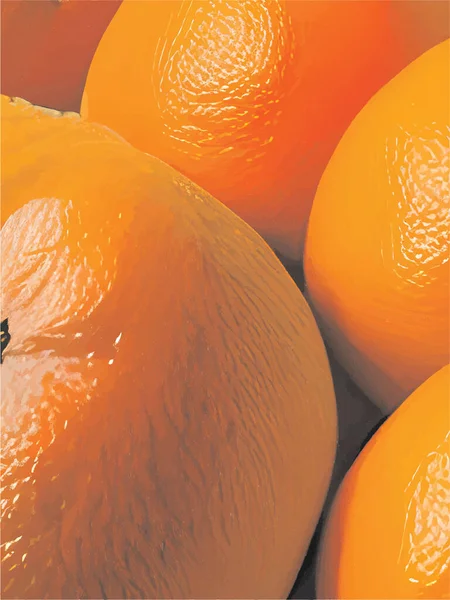 Sinaasappels Tegen Donkere Achtergrond Met Licht — Stockvector